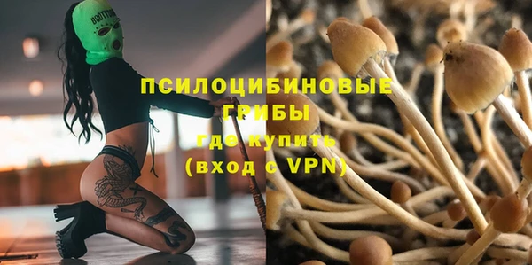 индика Куйбышев